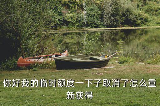 你好我的臨時額度一下子取消了怎么重新獲得