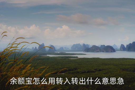 余額寶怎么用轉(zhuǎn)入轉(zhuǎn)出什么意思急