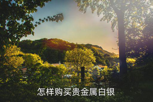 怎樣購(gòu)買貴金屬白銀