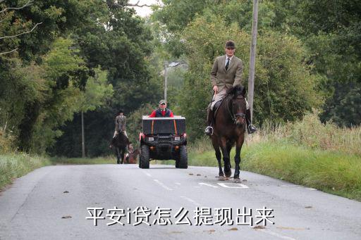 平安i貸怎么提現(xiàn)出來