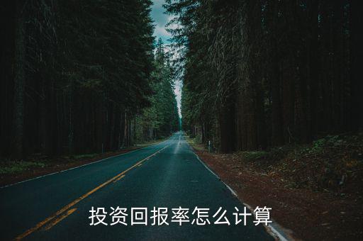 投資回報率怎么計算