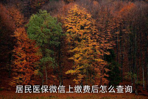 居民醫(yī)保微信上繳費(fèi)后怎么查詢