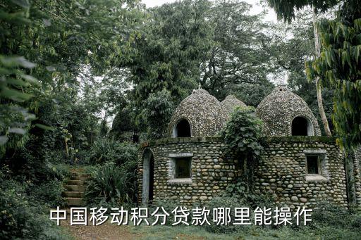 中國移動(dòng)積分貸款哪里能操作