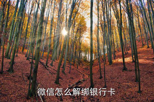 微信怎么退綁銀行卡，怎么取消 銀行卡綁定支付寶微信