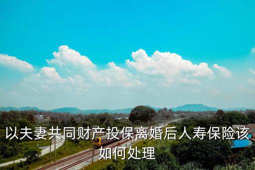 以夫妻共同財(cái)產(chǎn)投保離婚后人壽保險(xiǎn)該如何處理