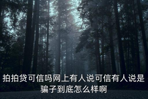 拍拍貸可信嗎網(wǎng)上有人說可信有人說是騙子到底怎么樣啊