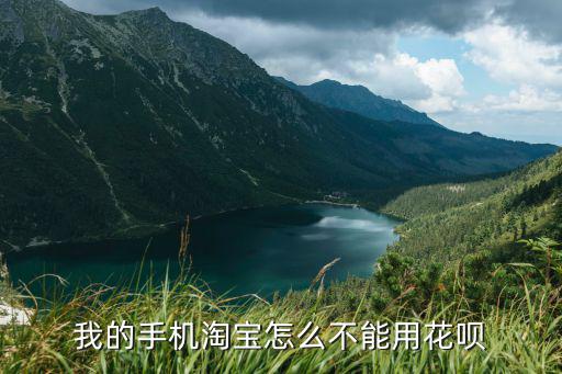 我的手機(jī)淘寶怎么不能用花唄