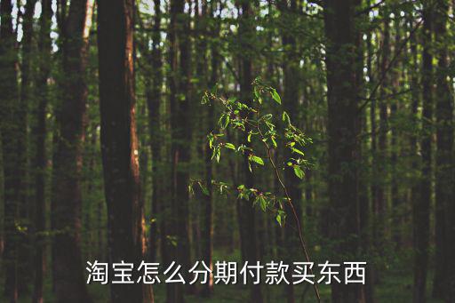淘寶分期付款怎么弄，請問淘寶上分期付款是怎么弄的啊求發(fā)大神指點