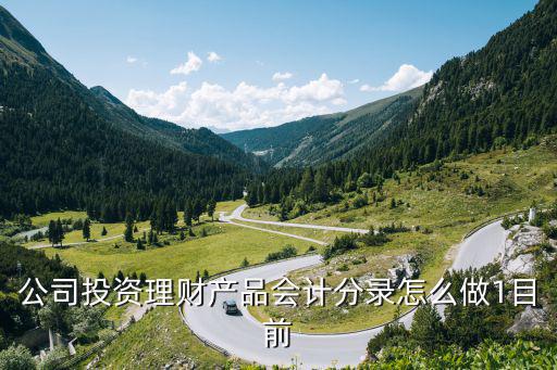 公司投資理財(cái)產(chǎn)品會(huì)計(jì)分錄怎么做1目前