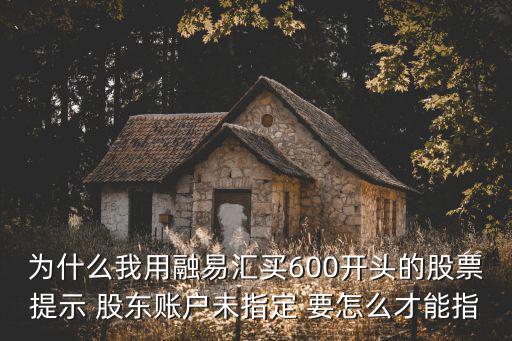 怎么指定股東賬戶，該股東賬戶未指定怎么辦