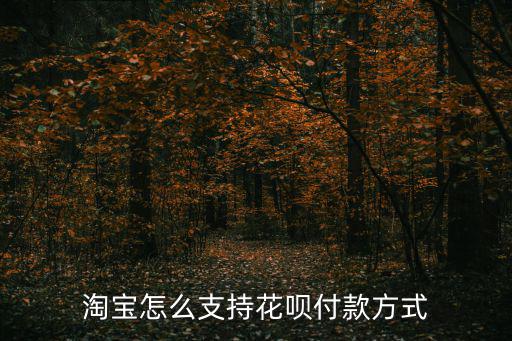 淘寶怎么支持花唄付款方式
