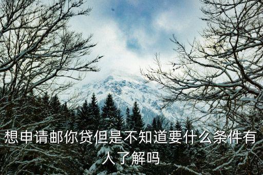 想申請郵你貸但是不知道要什么條件有人了解嗎