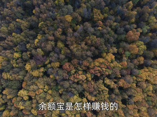 余額寶怎么賺錢，余額寶是什么怎么掙錢的