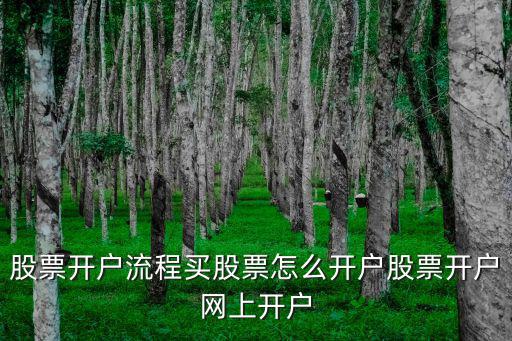 股票怎么網(wǎng)上開戶，股票開戶流程買股票怎么開戶股票開戶網(wǎng)上開戶