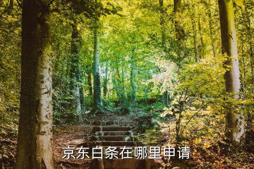 京東白條在哪里申請