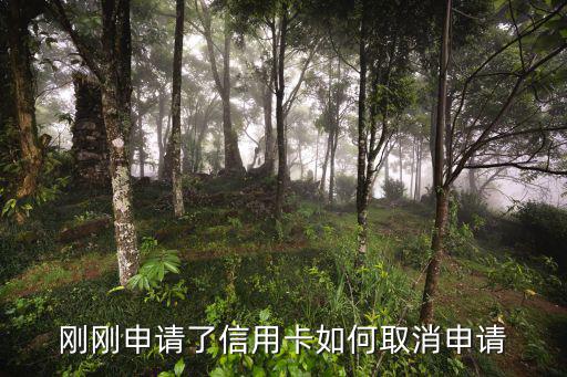 怎么取消招行信用卡申請，我申請的招商銀行信用卡突然不想申請了怎么取消