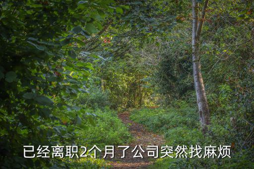 人人借款怎么維護(hù)了，人人錢包打不開怎么還款