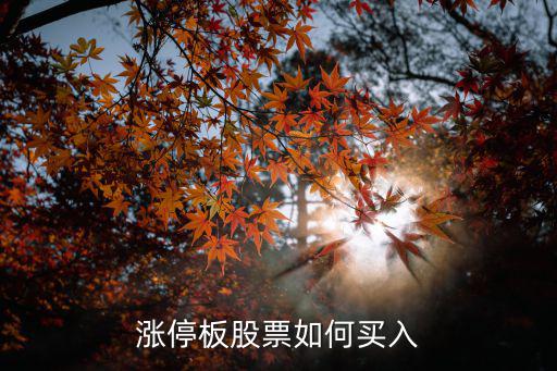 漲停后怎么買(mǎi)入，漲停板股票如何買(mǎi)入