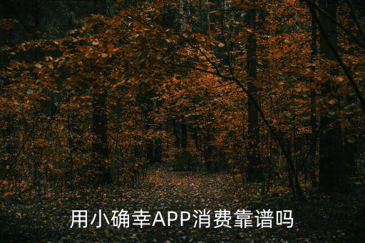 小確信貸款怎么樣，小平貸怎么樣