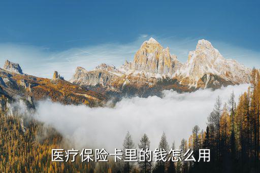 醫(yī)?？ㄔ趺从?，職工醫(yī)?？ň唧w如何使用