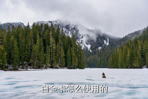 白金卡怎么使用的