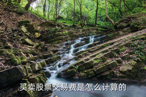 股票交易費(fèi)用怎么算，股票交易費(fèi)是怎么計(jì)算的如78元買(mǎi)入10000 股82元賣出10000