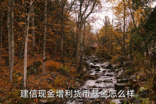 建信貨幣怎么樣，建信貨幣基金怎么樣