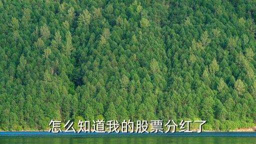 怎么知道我的股票分紅了