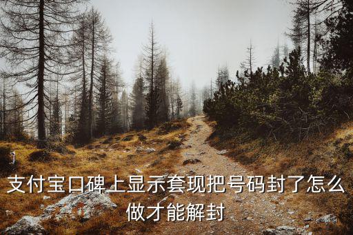 支付寶口碑上顯示套現(xiàn)把號(hào)碼封了怎么做才能解封