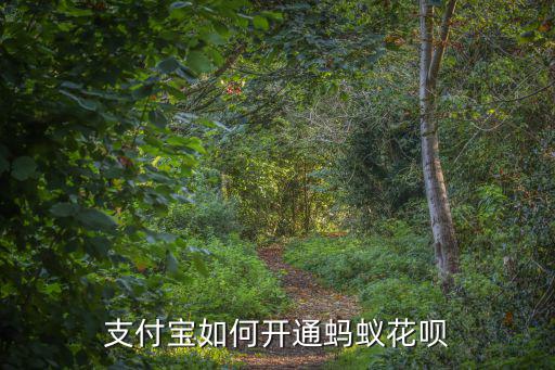 螞蟻花唄怎么開通，支付寶如何開通螞蟻花唄