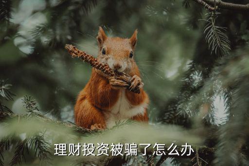 理財(cái)被騙怎么處理，網(wǎng)絡(luò)投資理財(cái)被騙了怎么辦