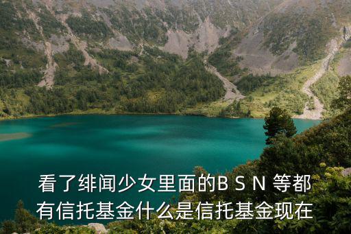 怎么辦理信托基金，看了緋聞少女里面的B S N 等都有信托基金什么是信托基金現(xiàn)在