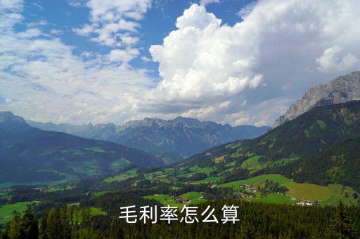 毛利率怎么算