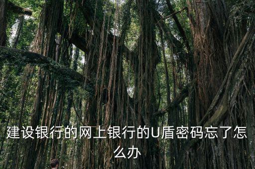忘記建行u盾密碼怎么修改密碼，U盾密碼忘記了怎么辦