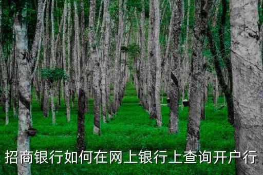 招商銀行如何在網(wǎng)上銀行上查詢開(kāi)戶行