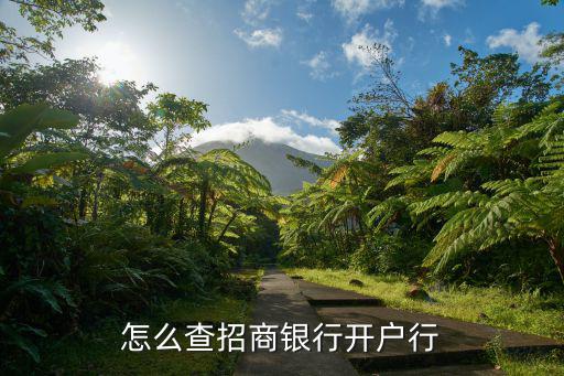 招商銀行怎么開戶行，招商銀行如何在網(wǎng)上銀行上查詢開戶行