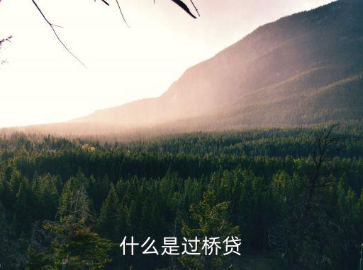 過(guò)橋貸款是怎么貸款的，什么是過(guò)橋貸款