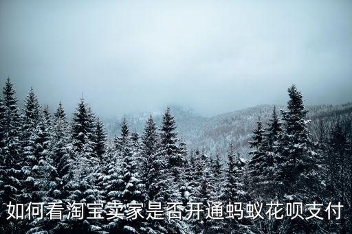 如何看淘寶賣家是否開通螞蟻花唄支付