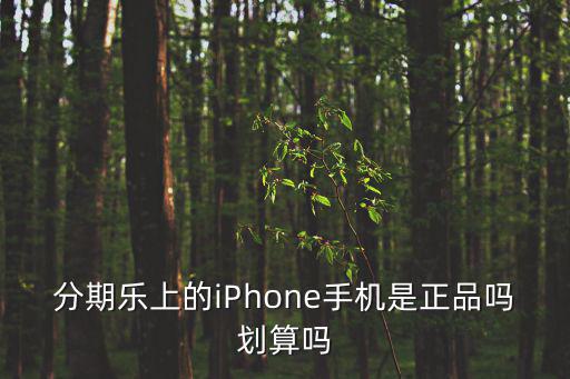 分期樂上的iPhone手機是正品嗎劃算嗎