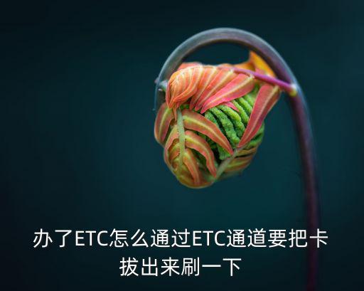 辦了ETC怎么通過ETC通道要把卡拔出來刷一下