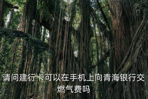 請問建行卡可以在手機(jī)上向青海銀行交燃?xì)赓M(fèi)嗎