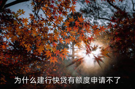 建行快貸怎么申請(qǐng)不了怎么辦，建行快貸如何使用
