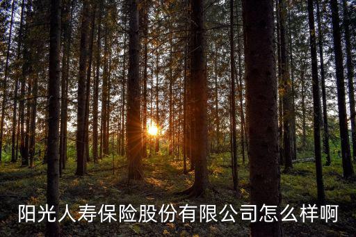 陽光人壽保險股份有限公司怎么樣啊