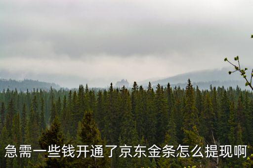 京東金條怎么提現(xiàn)，京東黃金現(xiàn)金余額如何提現(xiàn)