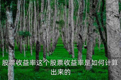股票收益率這個(gè)股票收益率是如何計(jì)算出來的