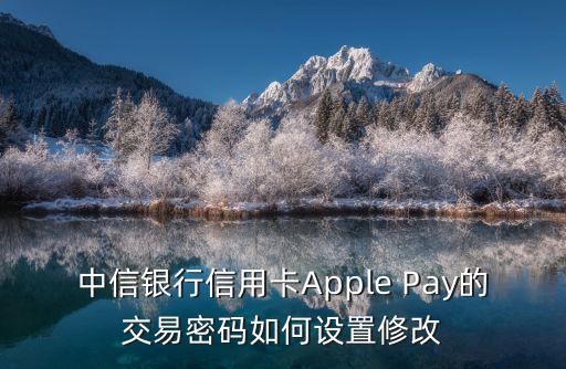 信用卡怎么設(shè)置交易密碼，信用卡的交易密碼怎么設(shè)置