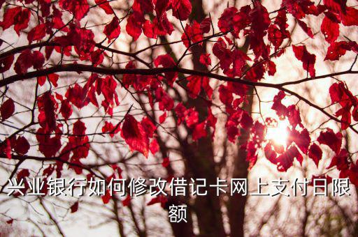 興業(yè)銀行怎么調(diào)額度嗎，興業(yè)銀行怎么提高臨時額度