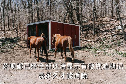 螞蟻微貸怎么取消，怎樣關(guān)閉淘寶上的螞蟻微貸