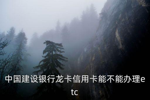 怎么辦理建行etc信用卡額度，中國建設(shè)銀行龍卡信用卡能不能辦理etc