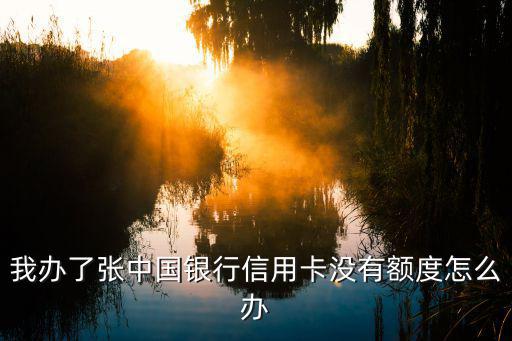 我辦了張中國銀行信用卡沒有額度怎么辦